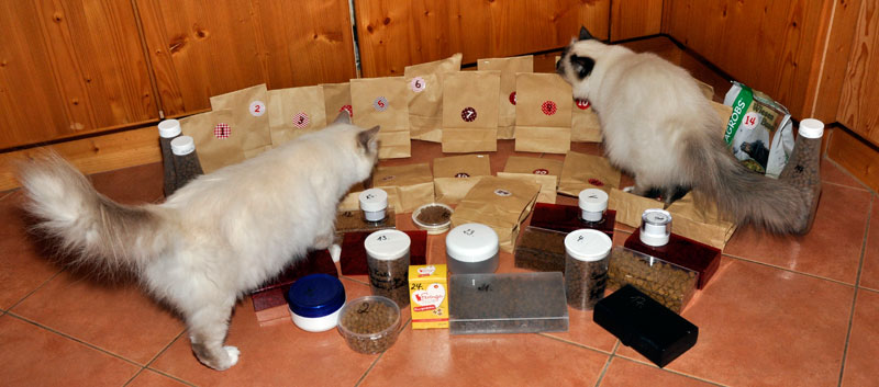 Adventskalender 2013