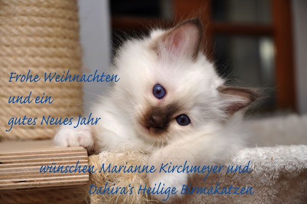 Weihnachtsgruß