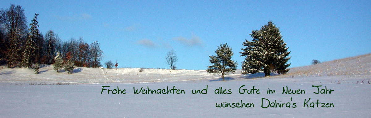 Weihnachtsgruss